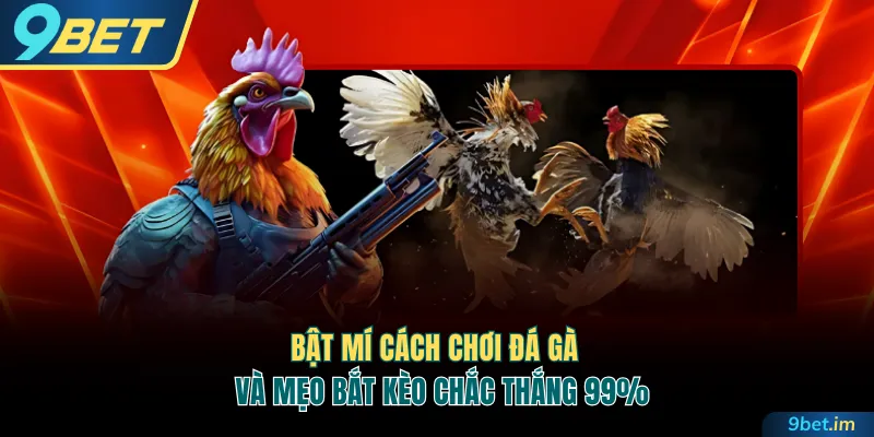 Cách chơi đá gà