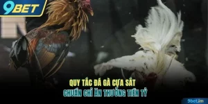 Đá gà cựa sắt