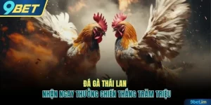Đá gà Thái Lan
